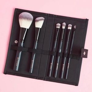 6 piece pro brush set